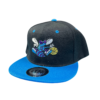 Gorra Charlotte Hornert NBA Recta Ajustable – Estilo Urbano para Adulto 