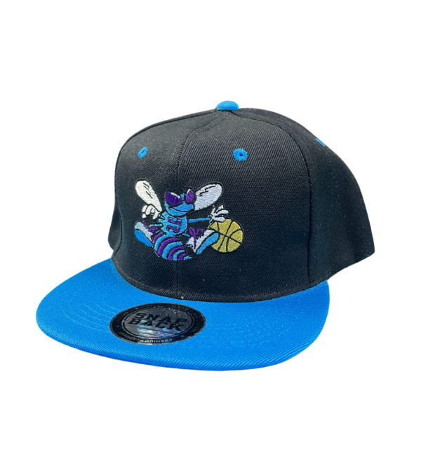 Gorra Charlotte Hornert NBA Recta Ajustable – Estilo Urbano para Adulto 