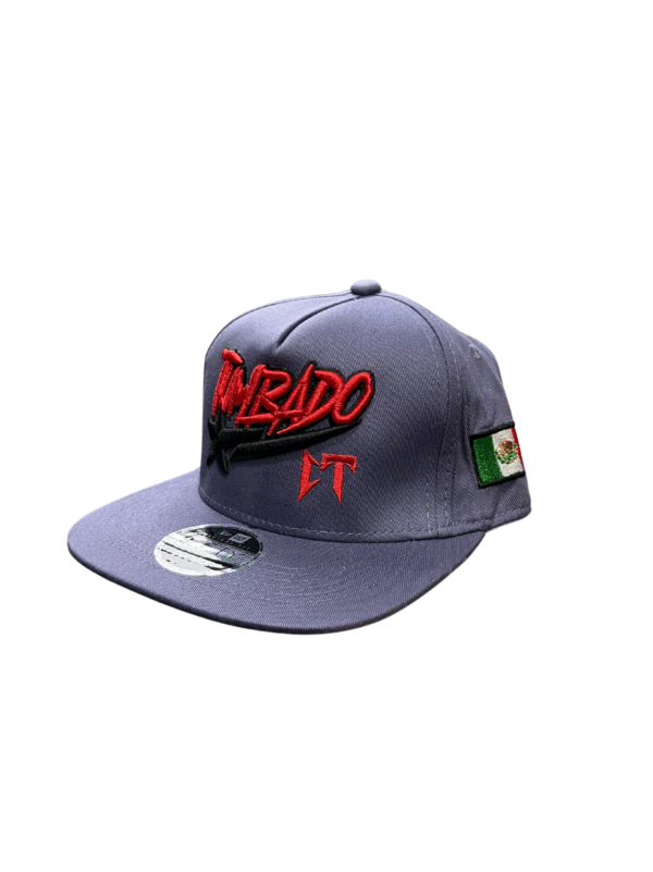 AAD03-GORRA DE CT-SNAPBACK-BROCHE AJUSTABLE-COLOR GRISASEO -STREETWEAR