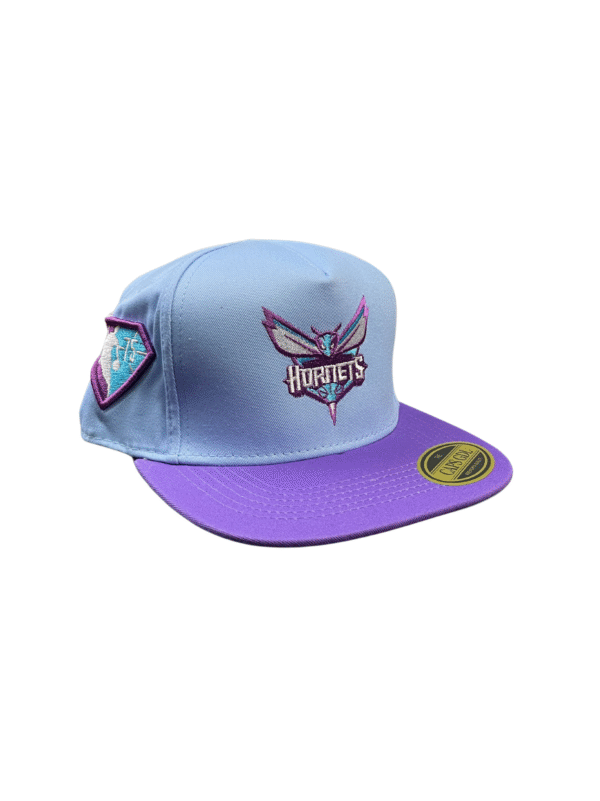 AAD04-GORRA DE HORNETS-SNAPBACK-BROCHE AJUSTABLE-COLOR COMBINADOS-STREETWEAR