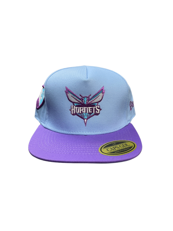 AAD04-GORRA DE HORNETS-SNAPBACK-BROCHE AJUSTABLE-COLOR COMBINADOS-STREETWEAR