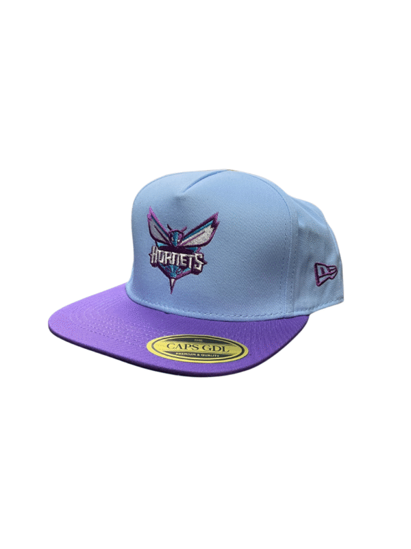AAD04-GORRA DE HORNETS-SNAPBACK-BROCHE AJUSTABLE-COLOR COMBINADOS-STREETWEAR
